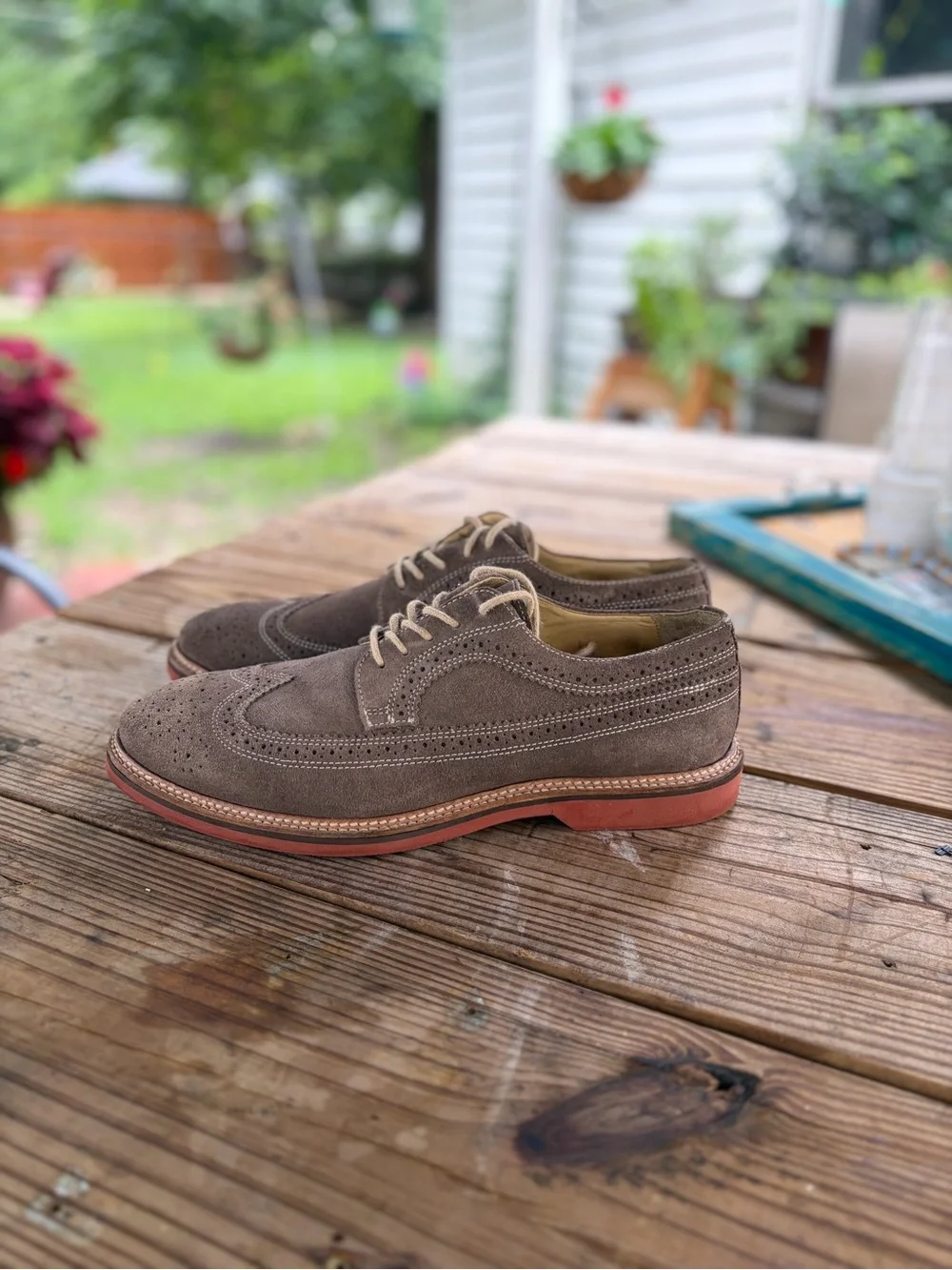1901 Men's Suede Wingtip Oxfords in Taupe with Contrasting Sole